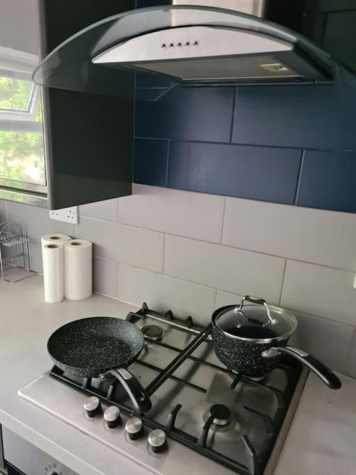 Luxury One Bedroom Flat Londra Exterior foto